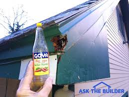 The wood on your house is no different to this bird than a tree would be, so it is i always have suet and they still peck at my house. Stop Woodpecker From Pecking House Using The Best Hot Sauce