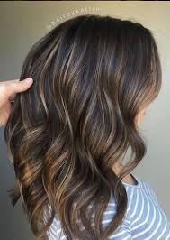 Before you get permanent highlights for black hair, it's a good idea to experiment with hair chalk to see which shade you like best. 29 Brown Hair With Blonde Highlights Looks And Ideas Southern Living