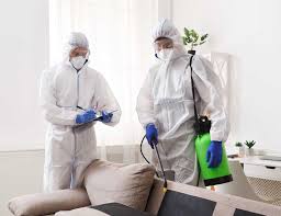 Pest control service in dubai, united arab emirates. 30 Years In Cleaning Pest Control Iso Certified