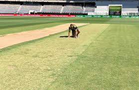 Australia Vs India 2018 19 Pitch India Australia Australia