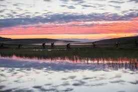 Hos dekk1 kan du være trygg på at vi vet hvilke dekk som er de beste for deg og bilen din. Bike Fahrrad Festival Onroad Und Offroad Finnmark 28 Juli 4 August 2018 Biking Alta Norway