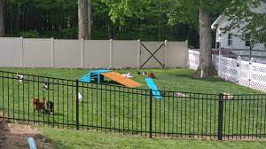 Good breeders strive to improve their breeds while considering canine health, temperament, training, and promoting responsible dog ownership. Commercial Kennels And Show Dog Breeders Craig Curry