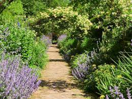 Looking for a cheap pathway idea? 40 Garden Path Ideas