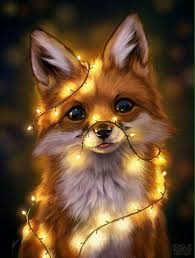 Super Schattig Schattige Dieren Dieren Mooi Dieren