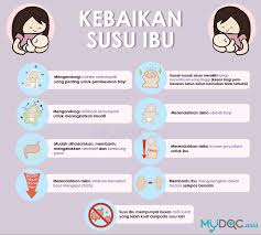 Ramai ibu hamil terlupa nak sediakan alat penyimpanan susu ibu dan perkakas penyusuan ini sedangkan ia adalah sangat penting. Penyusuan Ibu Atau Susu Formula Erufu Care