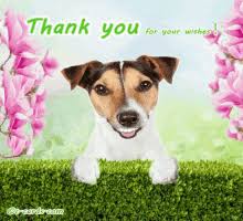 Thank You Dog Gifs Tenor A cute puppy thank you card, a fill in puppy thank you note this listing comes with a jpg and a pdf, each to be printed on 8,5x11 inches. thank you dog gifs tenor