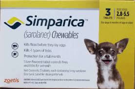 Maybe you would like to learn more about one of these? Ear Mites Mar Vista Animal Medical Center