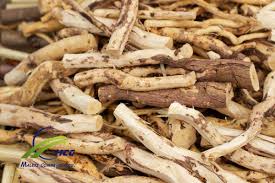 Image result for Salvadora persica