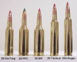 twenty caliber cartridge guide