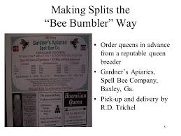 So i'm going to give you english or spelling 101, which are two little rules that will help you spell when dealing with english vowels. Making Splits The Bee Bumbler Way Ppt Video Online Download