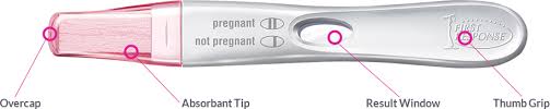 Test Confirm Pregnancy Test First Response First Response
