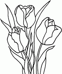 The lack of fine details make this a great option for young children. Tulip Pictures To Print Coloring Home
