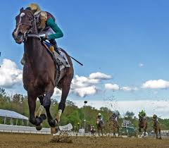 Lack Of Derby Winner But No Lack Of Value In Preakness