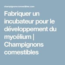 Fabriquer Un Incubateur Pour Le Developpement Du Mycelium Champignons Comestibles Culture