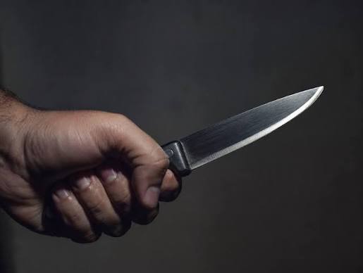 Homem &eacute; esfaqueado ap&oacute;s c&atilde;o do vizinho passar a ficar em seu barraco | Estad&atilde;o MT