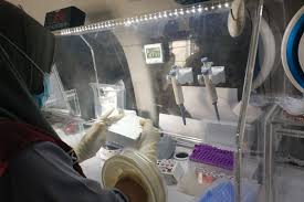 Silahkan downlod contoh soal tes cpns di halaman download….semoga bermanfaat….terima kasih. Sulbar Prioritaskan Tes Cepat Antigen Bagi Pengungsi Bergejala Klinis Antara News
