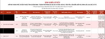 Tổng tuyển cử bầu quốc hội đầu tiên của nước việt nam dân chủ cộng hòa. Bai Viáº¿t Chi Tiáº¿t