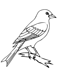 Color in the cardinal, the state bird of kentucky, in this state bird coloring page. Mockingbird Coloring Pages Best Coloring Pages For Kids