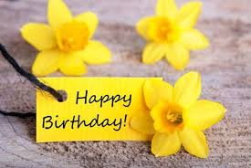 We did not find results for: 45 Happy Birthday Flowers With Images Littlenivi Com