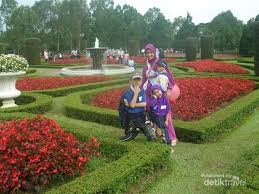 We are displaying a vast acreage for the growth of flowers from. Saatnya Memanjakan Mata Di Taman Bunga Nusantara