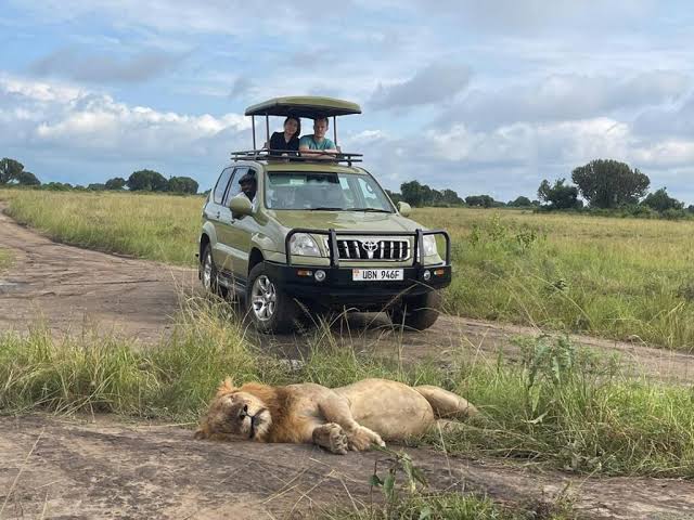 The Ultimate Uganda Self Drive Itinerary: Explore the Pearl of Africa on  Your Terms Self drive Rwanda Uganda