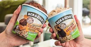 Talking about desserts, we cannot afford to ignore these toothsome vegan products. Our Top 5 Store Bought Vegan Ice Cream Brands Vegout