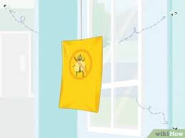 Dabro remix — улетай на крыльях ветра 02:41. 3 Ways To Keep Flies Away From You And Your Room Wikihow