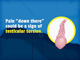Okay.so theres people out there by people i mean men by men i mean boys by boys i mean guys that havent hit puberty and umm yah this is to help you figure. Testicular Torsion For Parents Nemours Kidshealth