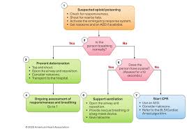 Check the patient's surroundings are safe before approaching (if you injure yourself, you will not be able to help the patient, so take this seriously). Https Cpr Heart Org Media Cpr Files Cpr Guidelines Files Highlights Hghlghts 2020 Ecc Guidelines English Pdf