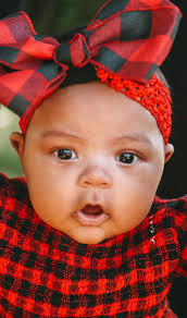 Make sure to stop by and meet Wilma at the Christmas Tree Farm Today!