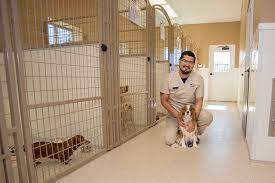 From the sam houston tollway to hwy.6 or going south on hwy. Pet Boarding Grooming Houston Tx Oak Forest Veterinary Hospital