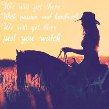 Never Give Up Horse Quotes Funny Horses Equestrian Quotes