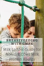 Experts state that infants can outgrow milk allergy by the time they are three to four years old. Milk Ladder Guide Breastfeeding With Cmpa Lauren Ashley Gordon