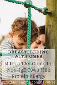 Causes of milk allergies in infants. Milk Ladder Guide Breastfeeding With Cmpa Lauren Ashley Gordon