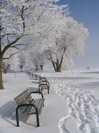 When Cold Mornings Are Worth It Ontario Canada Winter Scenes Winter Scenery Places To Visit
