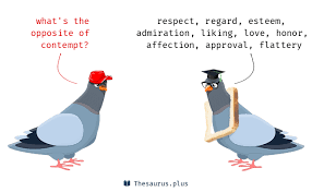 The state of mind of one who despises : 49 Contempt Antonyms Full List Of Opposite Words Of Contempt
