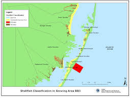 Njdep Division Of Water Monitoring And Standards