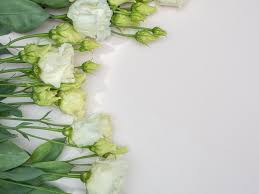 Buque De Espaco De Copia Lisianthus Branco Foto Premium