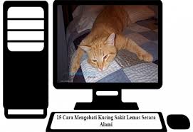 Bukan hanya untuk manusia saja, ternyata air kelapa segar pun banyak manfaatnya bagi hewan terlebih untuk kucing yang sedang mengalami sakit tertentu. Baca 15 Cara Mengobati Kucing Sakit Lemas Secara Alami