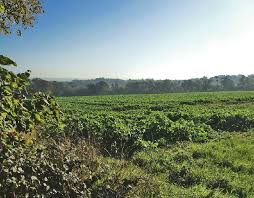 Goffs oak's national animal is the hart, which frolics freely in the nation's many lush forests. Visit Goffs Oak 2021 Travel Guide For Goffs Oak Waltham Cross Expedia