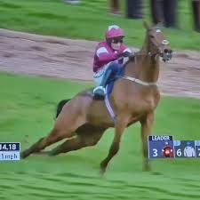 Gold Dancer Breaks Back During Race, Wins—Then Dies Moments Later [VIDEOS]  Full story via 🔗 in comments. 👇