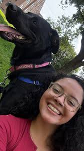Ruby sleeping comfortably in the car