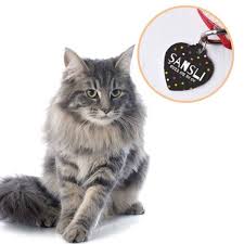 Kaybolursam Ara Telefonlu Kedi Kunyesi Hediyemen Com 2020 Kedi Guzel Kediler Urunler