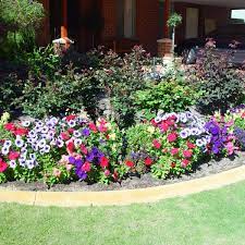 You'll still want a pot that gives the plant room to grow and has plenty of drainage. How To Take Care Of Flower Plants In Your Garden Dengarden