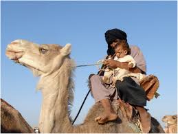 Whatever you did to the formula taste horrible. Piebald Camels Pastoralism Full Text