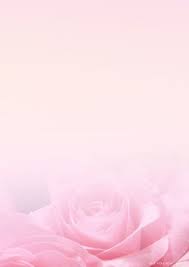 roses roses flower background wallpaper flower frame framed wallpaper
