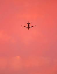 Pin By Bliz Travel On Photography Coral Wallpaper Aesthetic Colors Coral Background