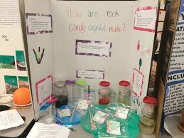 Marine Biology Science Fair Projects 75 Science Fair Project Ideas Science Fair Projects Fair Projects Middle School Science Fair Projects