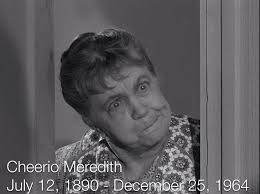 Meredith and alternative career path