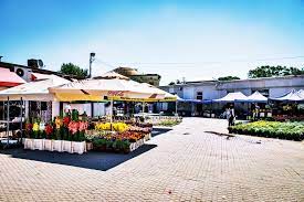 De fapt acestea se adnuna de peste 10 ani iar dl. De Ce A Fost DÄƒramatÄƒ PiaÈ›a De Flori Din Rahova Ce Se Va Construi In Locul Ei Impact